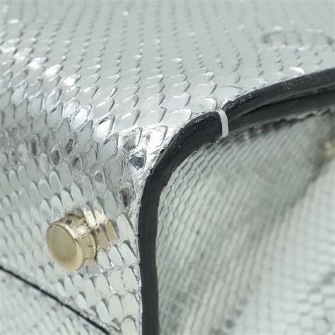 Diorever Mini Python Skin に対する画像結果