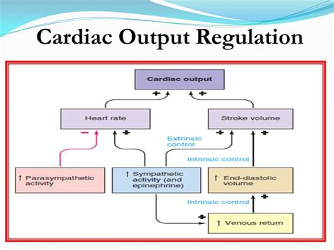 Image result for Output Regulation Control