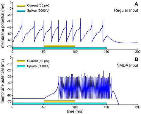 Image result for Poisson Spike Trains Python