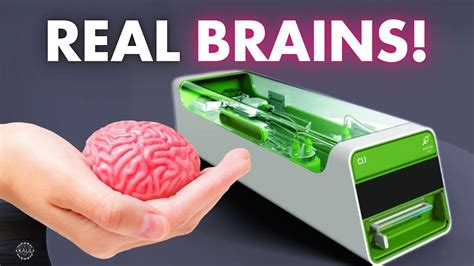 Image result for Biocomputer