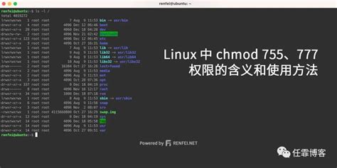 Image result for Linux Chmod 654