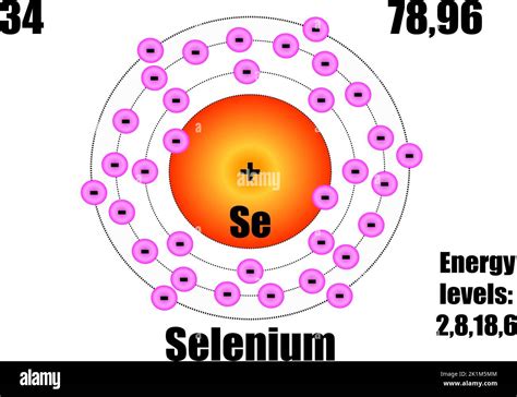 Image result for Atom Structure of Selenium