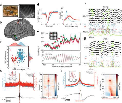 Afbeeldingsresultaten voor Utah Array