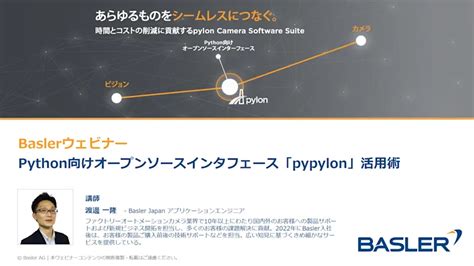 Image result for Pylon Python