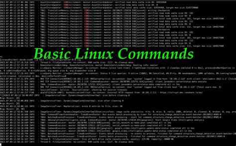 Linux OS Basic Commands に対する画像結果