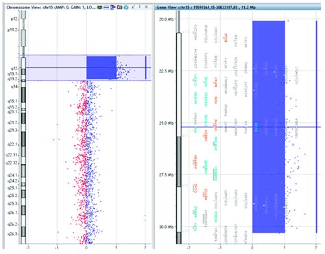 Array Comparative Genomic Hybridization に対する画像結果