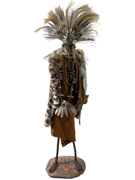 Image result for Turtle Shell Animal Fur