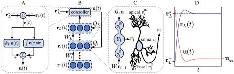 Image result for Credit Assignment Problem in Neural Networks
