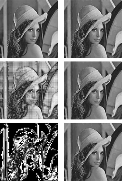 Image result for Lenna Digital Image Processing