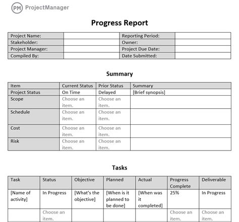 Image result for Sample Progress Report Format