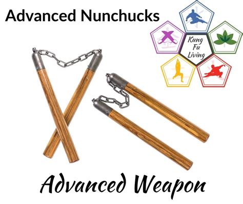 Image result for Advanced Tricks Nunchuck