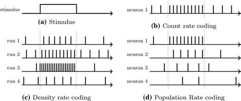 Image result for Rate Coding