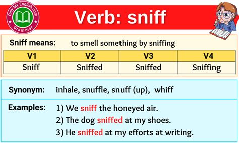 Sniff Meaning に対する画像結果