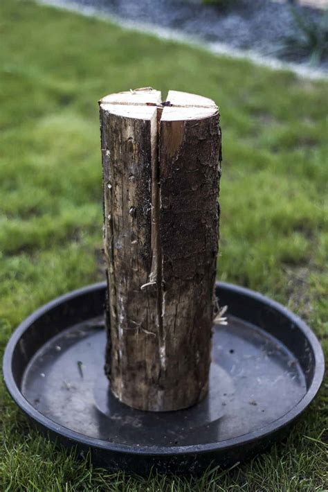 Image result for Fire Log Cooking