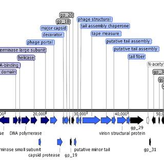 Afbeeldingsresultaten voor Annotation Map Pro