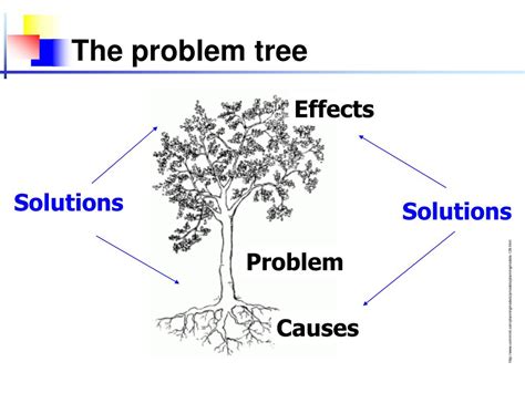 Image result for Modified Problem Tree Stunted