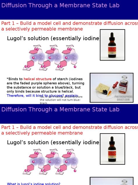 Image result for Cell Membrane Diffusion Lab