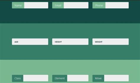 Image result for Form Input Two Text CSS