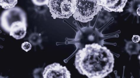 Image result for Bacteria Cell in Air Dust