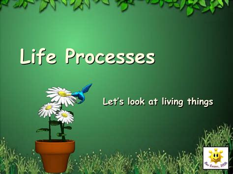 Image result for Poster On Life Processes