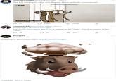 Image result for Exploding Hog Meme