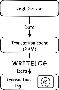 Image result for How to Make SQL Wait