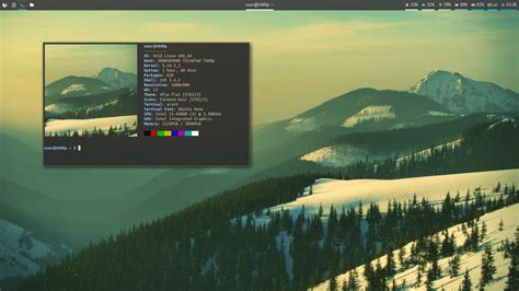 Toradh íomhá ar Void Linux Xfce View