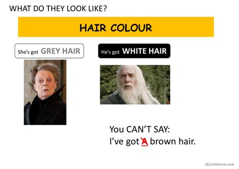 Image result for What Do They Look Like