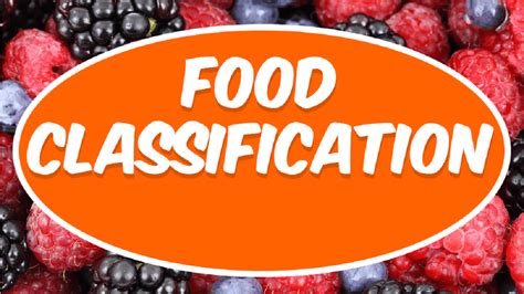 Image result for Food Classification Flowchart