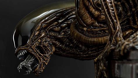 Afbeeldingsresultaten voor Alien 3 Dog