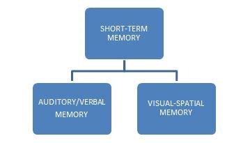 Image result for Short-Term Memory