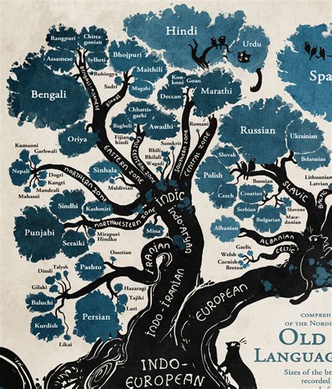 Image result for Computer Language Lineage Tree