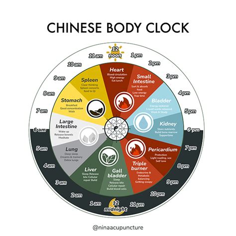 24 Hour Body Clock に対する画像結果