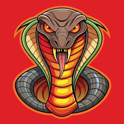 Image result for Python Language Illustration