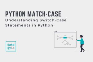 Image result for Match Case in Python with Images Using Flask