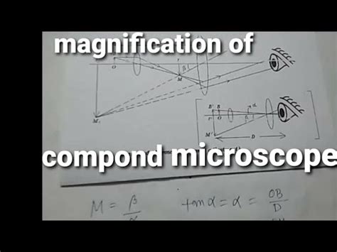 Image result for Magnifying Power of Compound Microscope