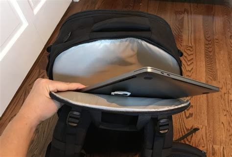 Image result for Tortuga Set Out