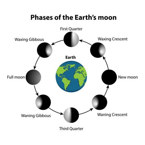 Image result for Lunar Month and Solar Month Grid