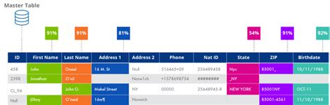 Image result for Data Quality Profiling Matching