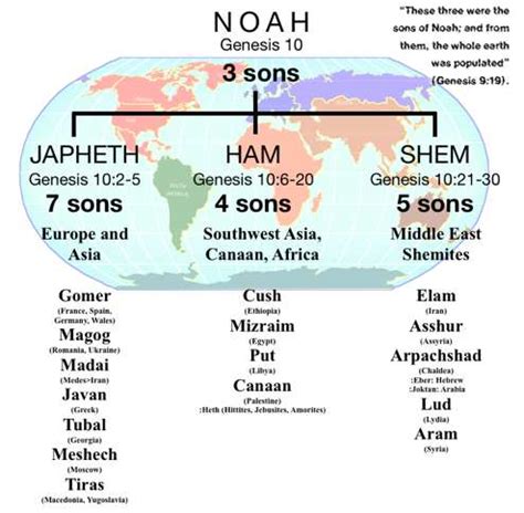 Image result for 9 Generational Chart Starting with Noah to Shem Genealoy 9 Generational Chart