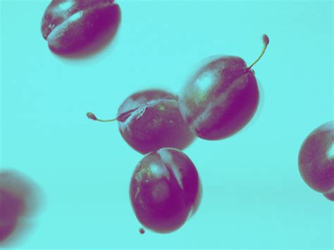 Image result for Sweep and Prune Algorithm