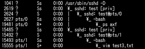 What Is PS Command in Linux に対する画像結果