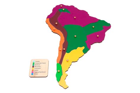 Image result for South America Biome Evolution Map