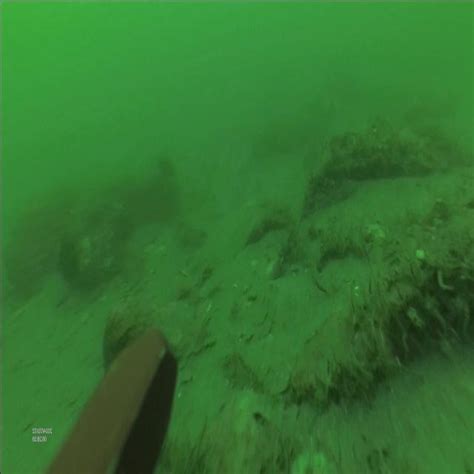 Tank Photos for Object Detection Models に対する画像結果