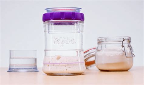 What Is Fermenting に対する画像結果