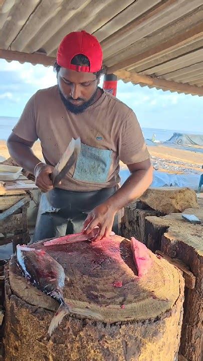 Afbeeldingsresultaten voor Tuna Fish Cutting Methods