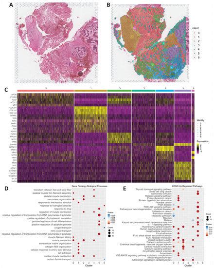 Transcriptomics Signature-साठीचा प्रतिमा निकाल
