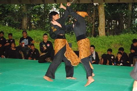 Toradh íomhá ar Penket Silat Basics