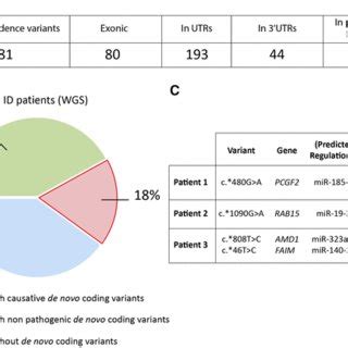 Toradh íomhá ar Non-Coding Variants
