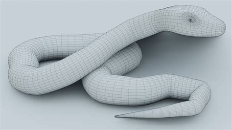 Toradh íomhá ar Python Snake with Man Dimensions